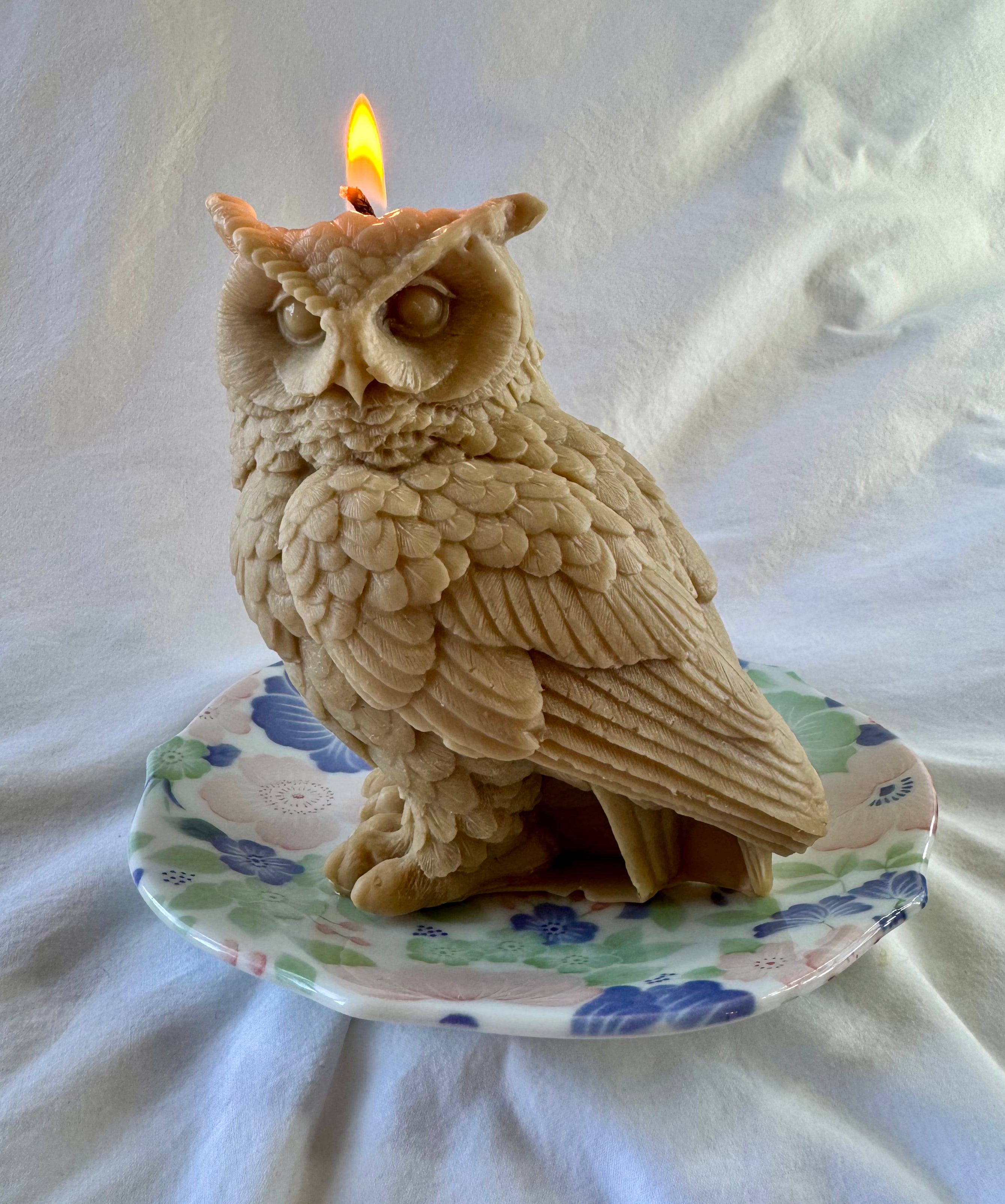 The Bubo