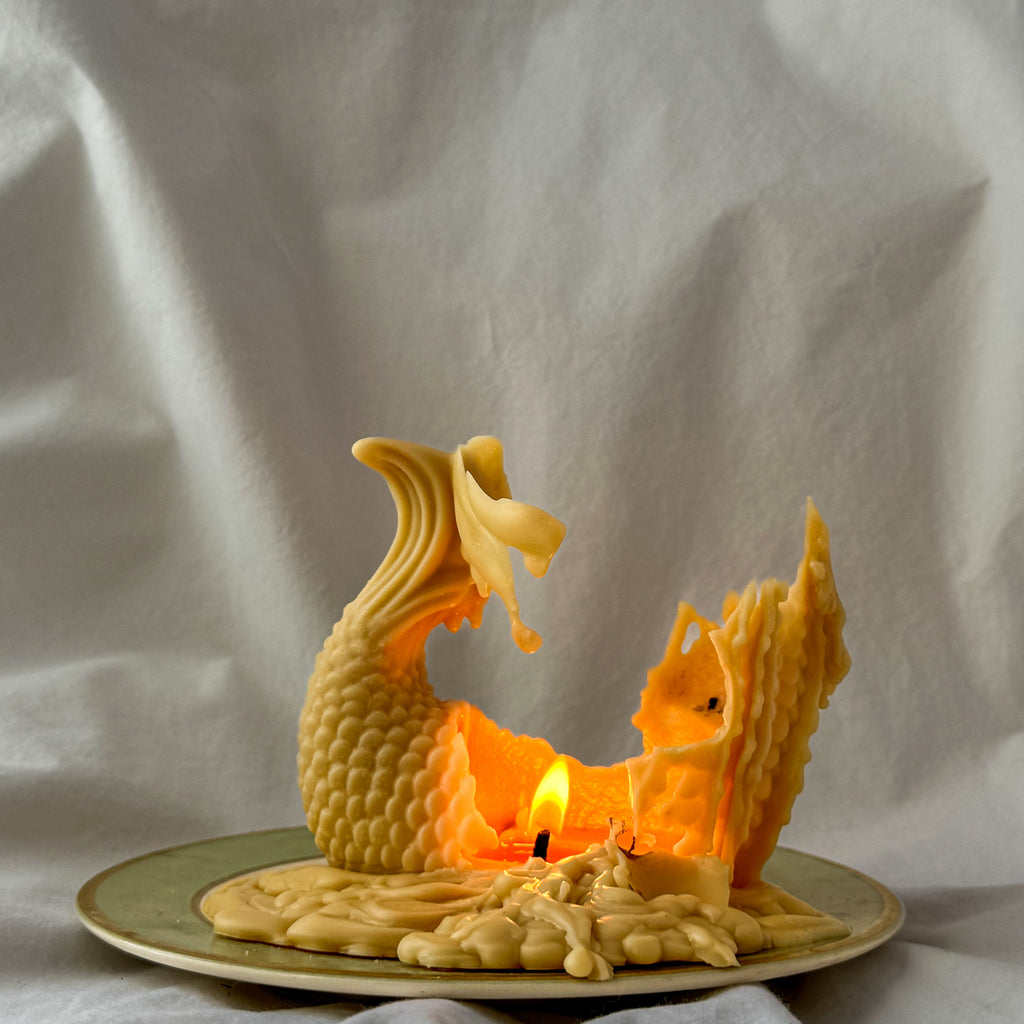 The Koi