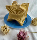The Cubus