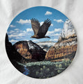 The Norman Plate